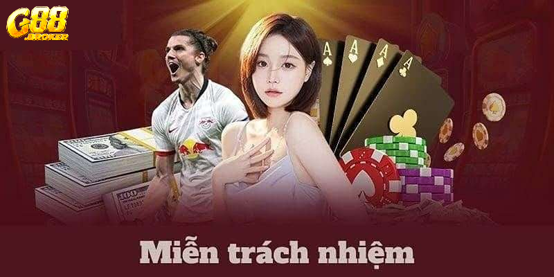 Các điểm chính trong điều khoản miễn trừ trách nhiệm